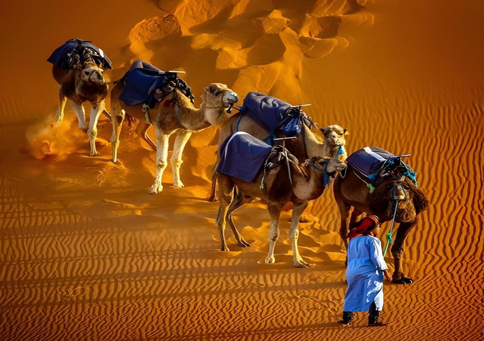 Merzouga Lovely Luxury Camp Eksteriør bilde