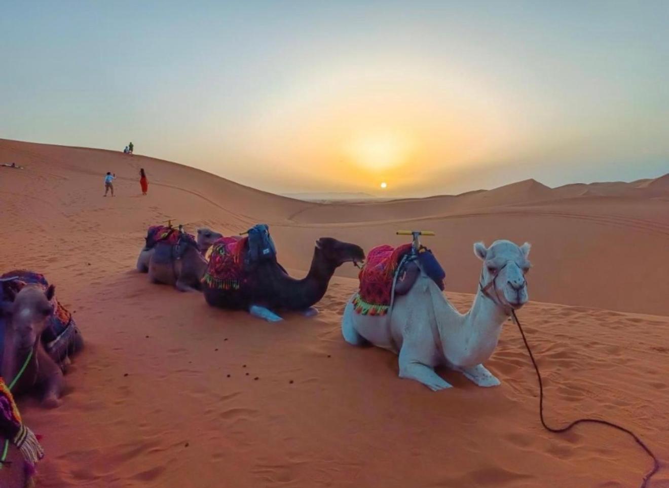 Merzouga Lovely Luxury Camp Eksteriør bilde